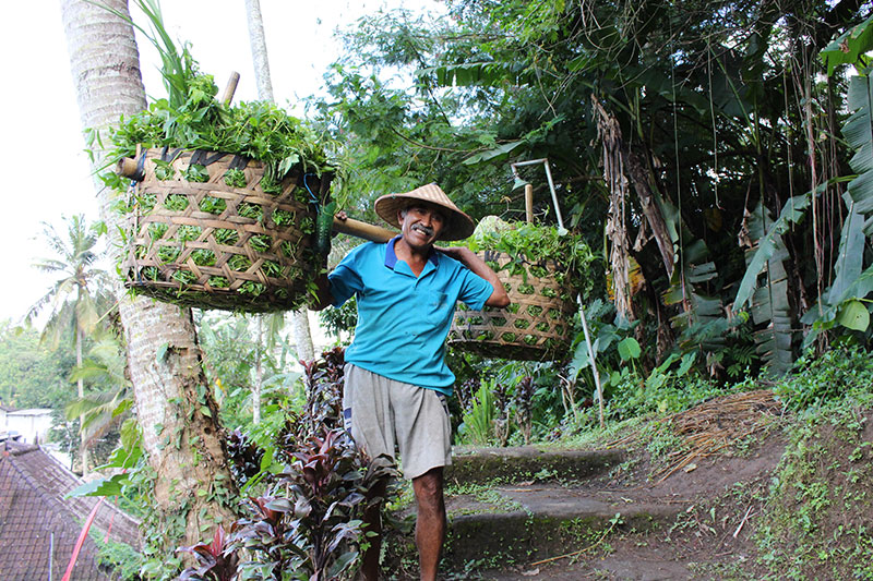 Nusa penida salos gyventojas