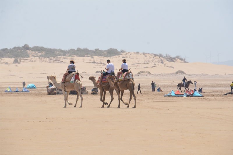Žmonės jojantys ant kupranugarių, Marokas