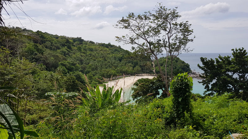 Tropinis miškas, įlanka, Tailandas